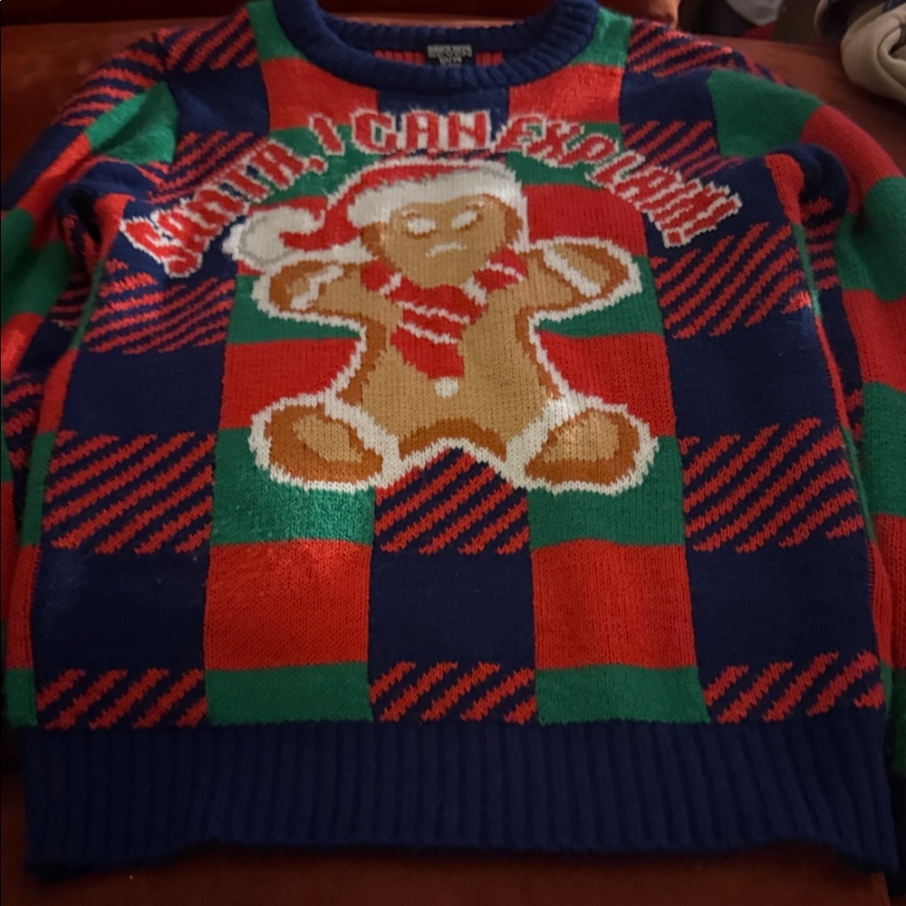 2 Festive Gingerbread kids Sweater - Red, Green, Blue only worn 1 time